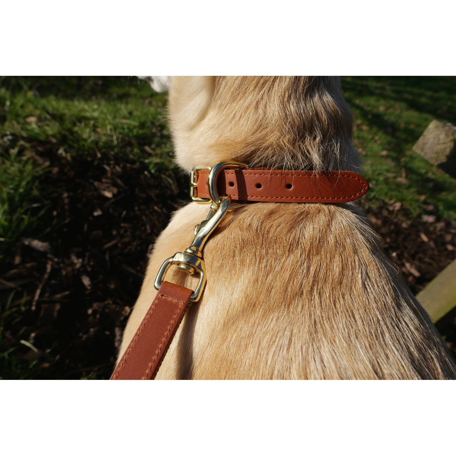 Herring Bonnie Dog Collar in tan and tweed - Image 6
