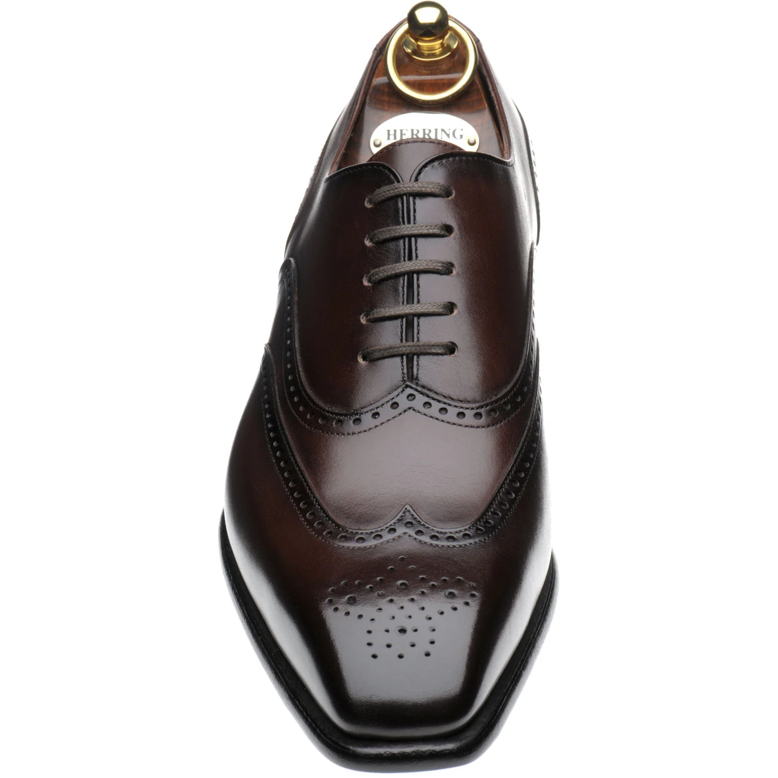 Herring Munster mens brogues in dark brown calf - Image 2