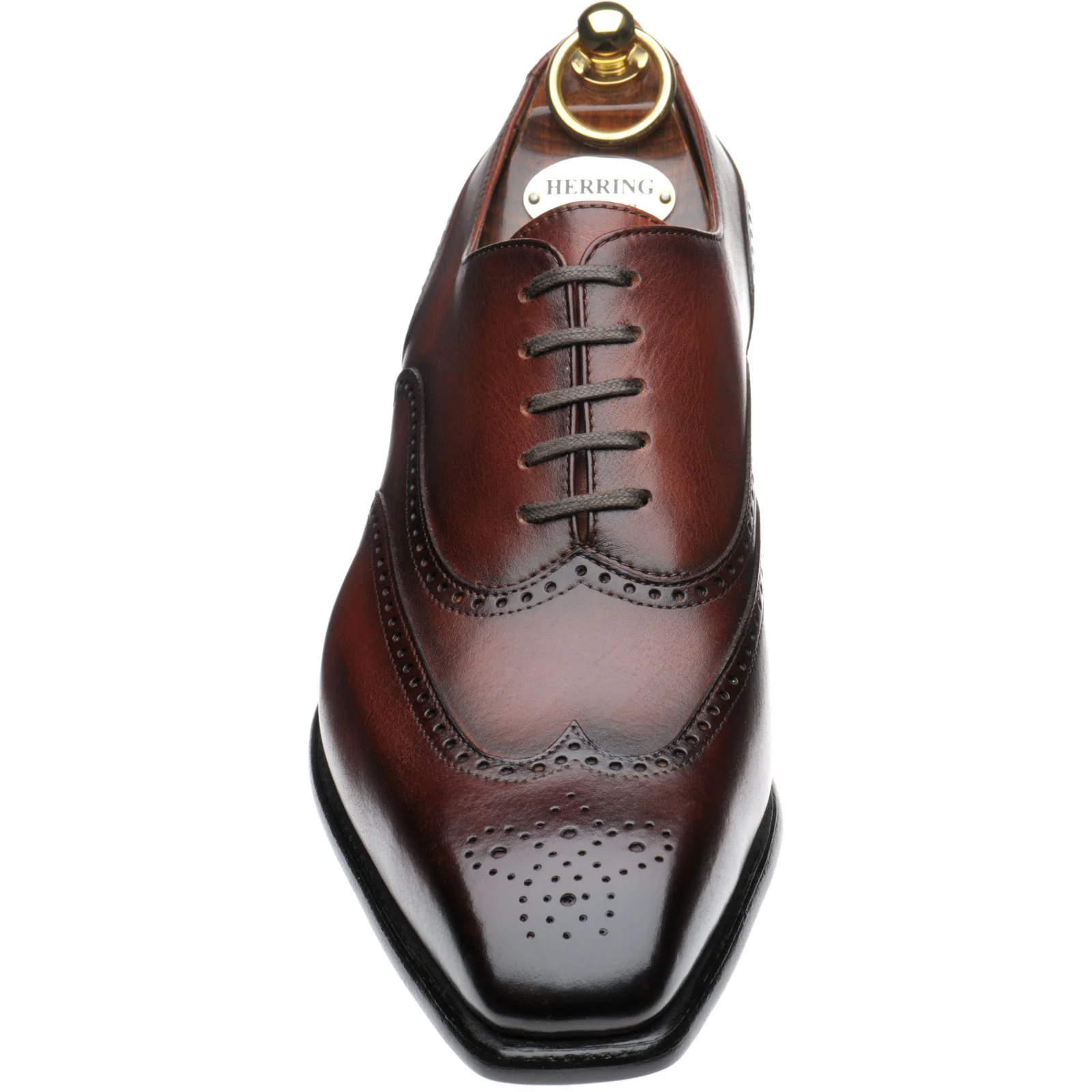 Herring Munster mens brogues in rosewood calf (second) - Image 2