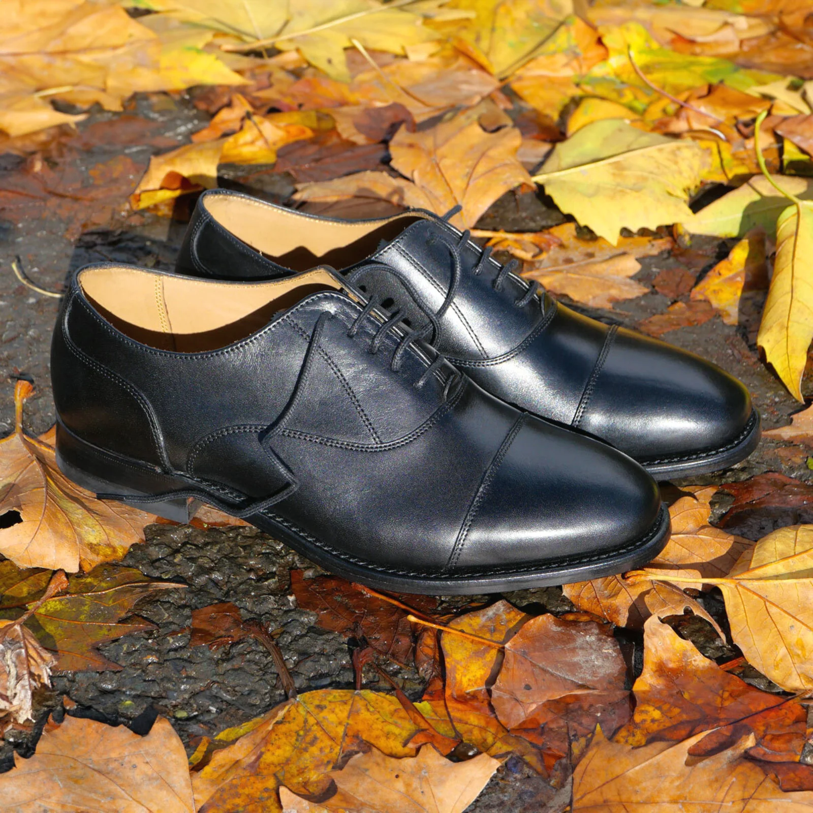 Herring Newcastle mens Oxfords in black calf - Image 6