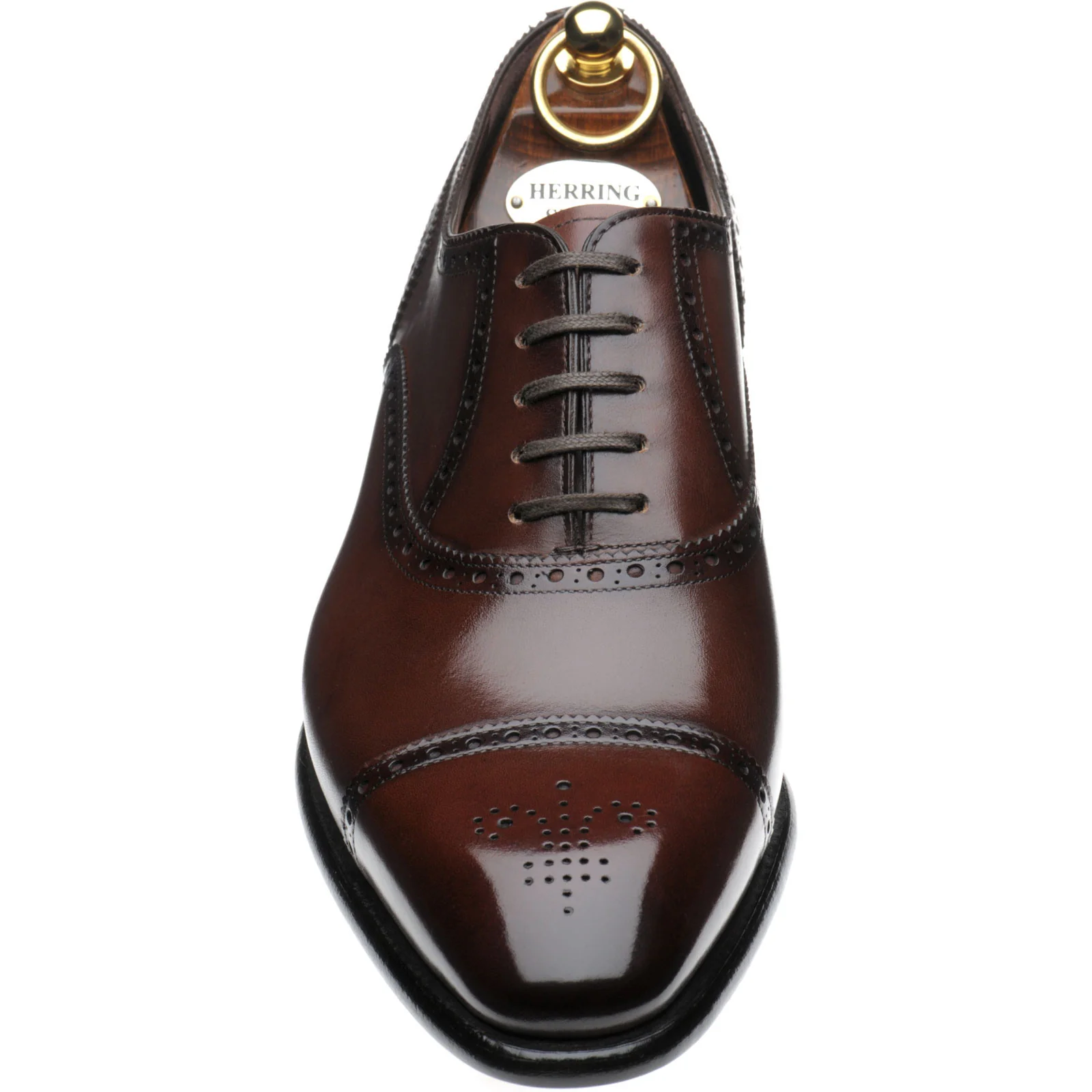 Herring Sloane mens semi-brogues in dark brown calf - Image 2