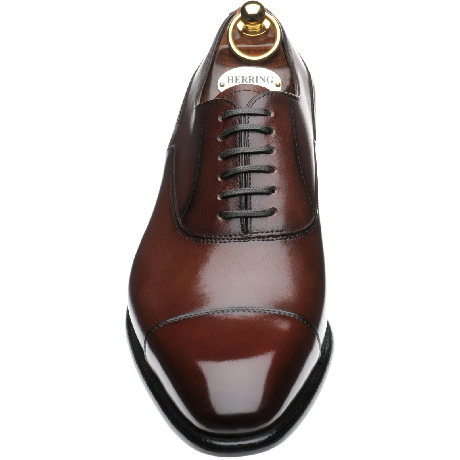 Herring Sussex mens Oxfords in dark brown calf - Image 2